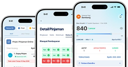 Flin credit wellness mobile app